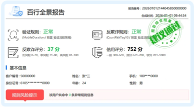百行全景报告封面